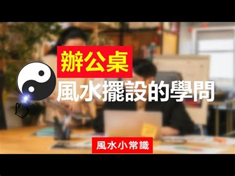 文竹風水辦公室|為何文竹能改善辦公室風水？專家解析